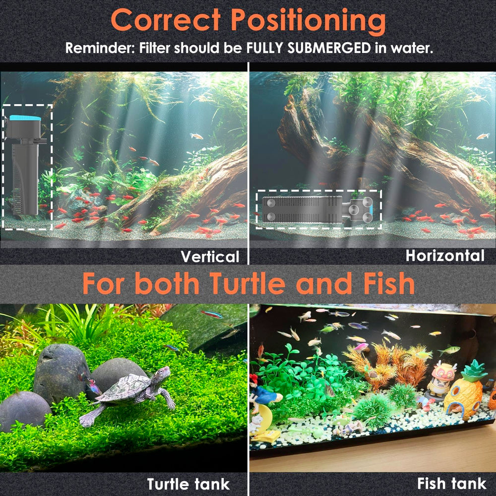 VCRAZE filtre U - V à côté d’un aquarium pour comparer l’échelle