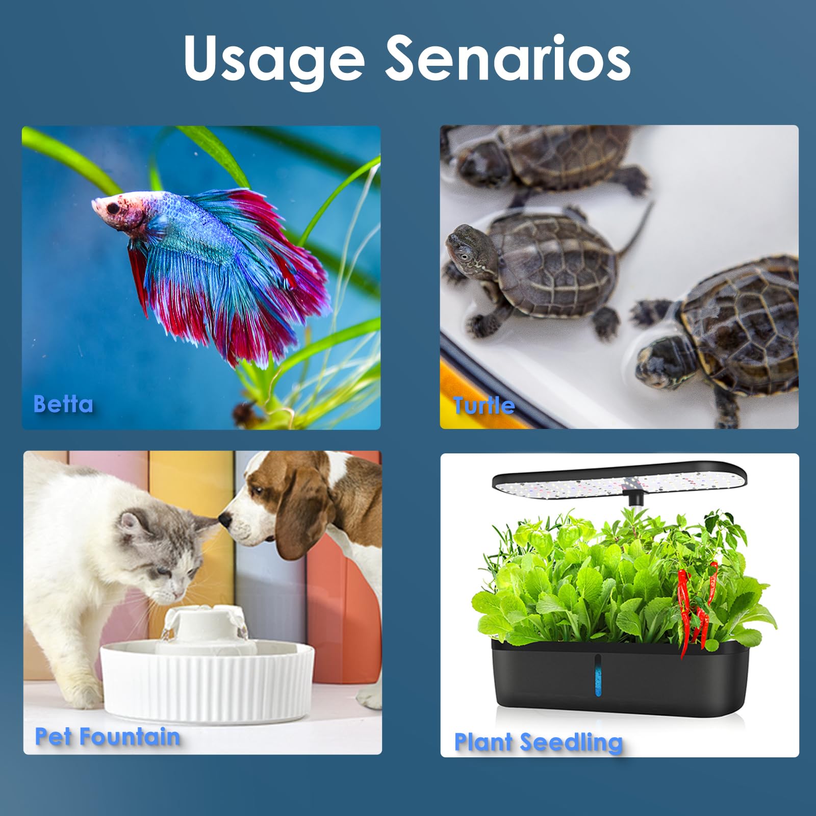 VCRAZE intégré dans un aquascape pour montrer l'esthétique et l'usage quotidien
