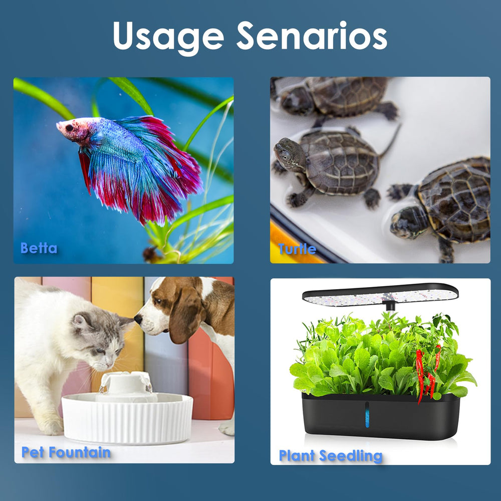 VCRAZE intégré dans un aquascape pour montrer l'esthétique et l'usage quotidien