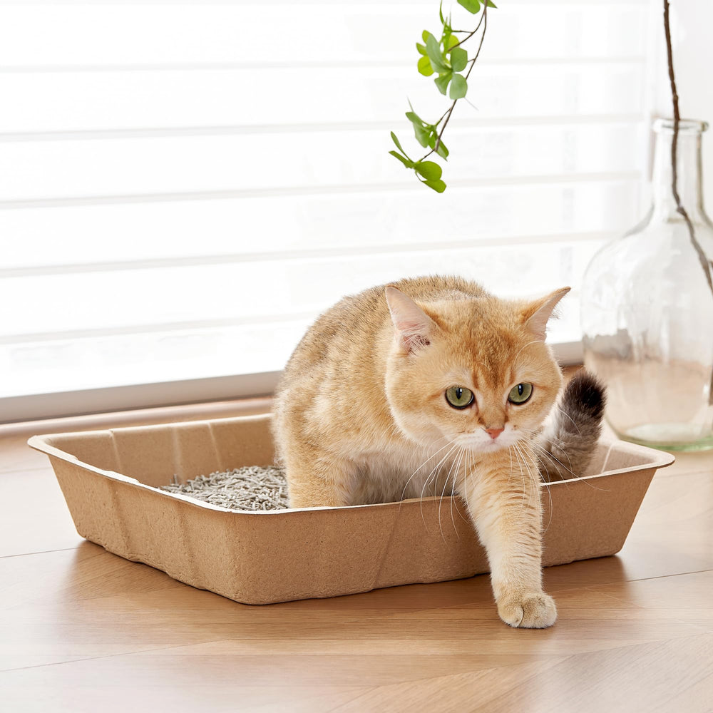 Vealind bac en usage par chat pour une hygiène rapide lors du changement