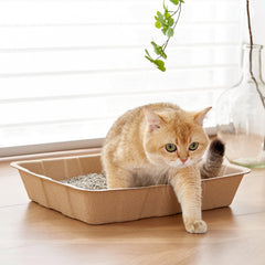 Vealind bac en usage par chat pour une hygiène rapide lors du changement