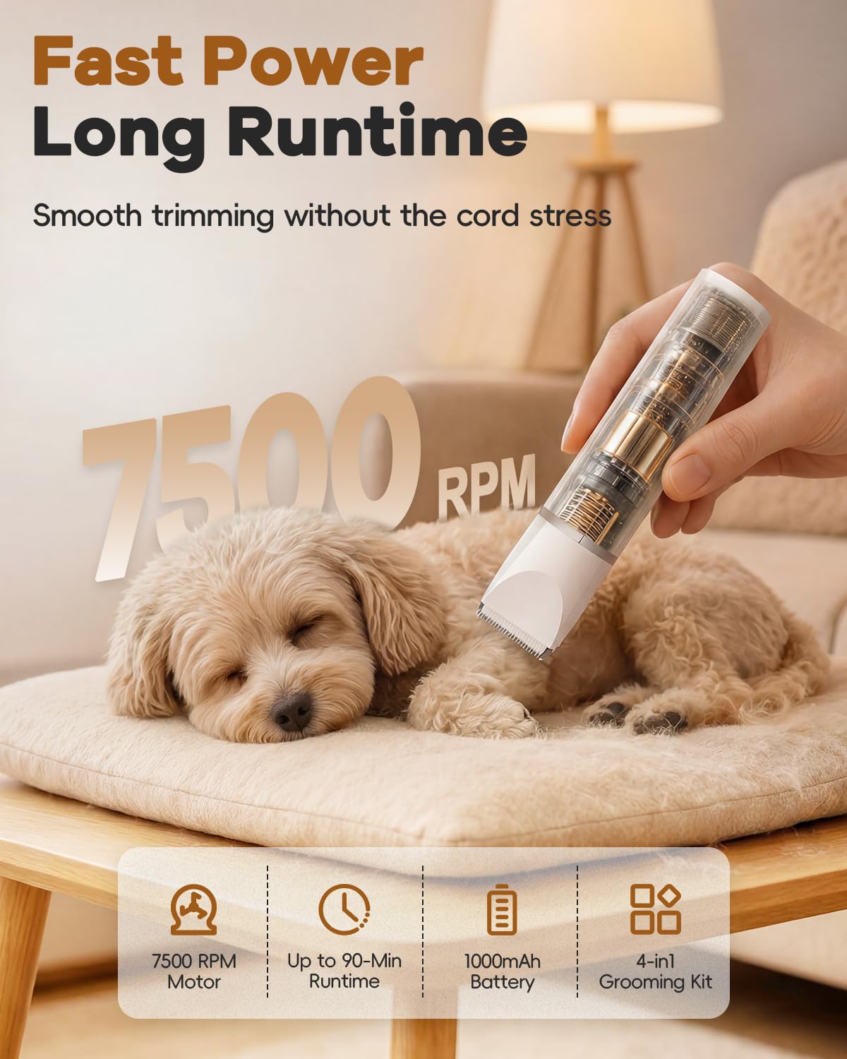 Veeconn utilisation sur chien démontrant confort et calme