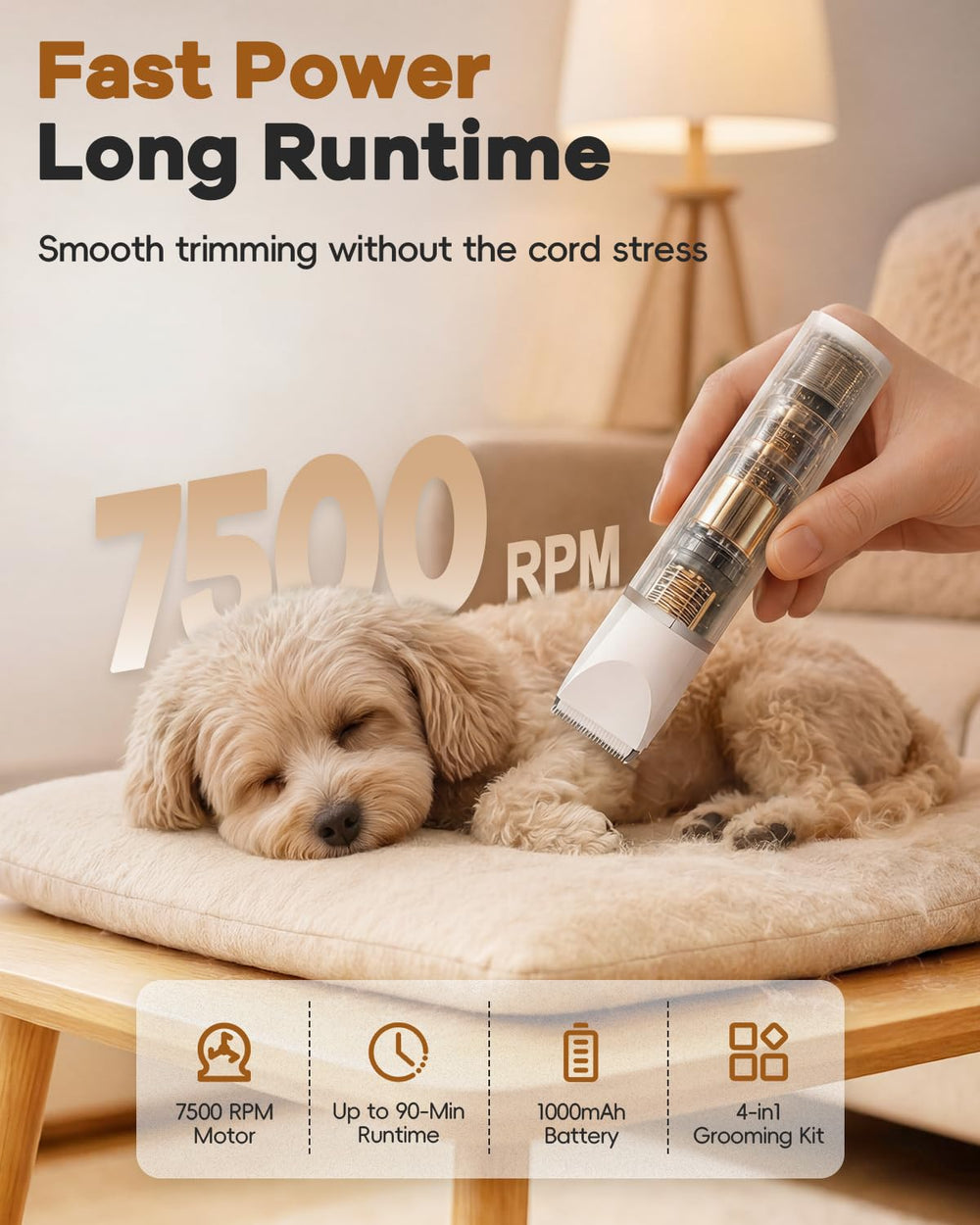 Veeconn utilisation sur chien démontrant confort et calme