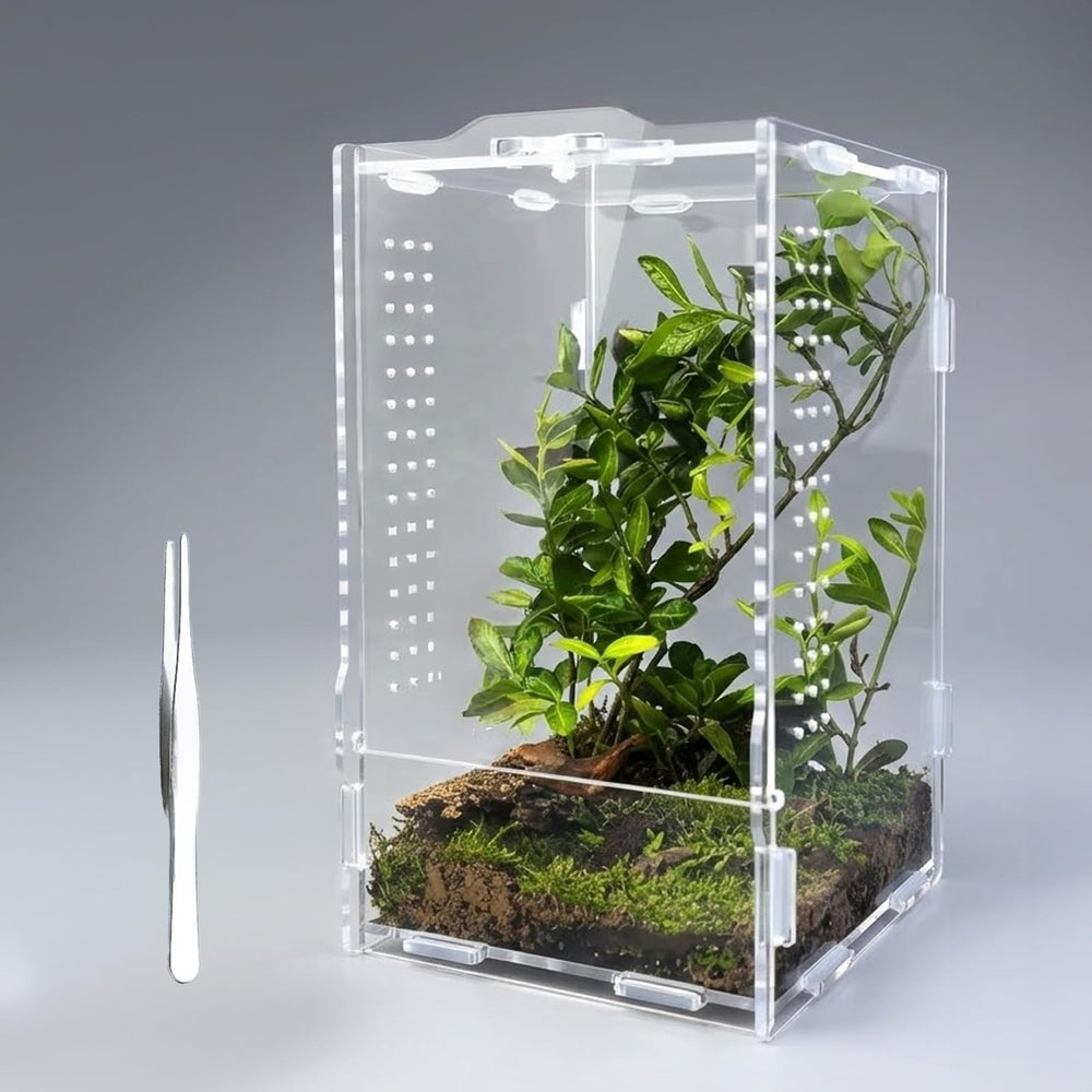 veectgoo intérieur décoré montrant possibilités de mise en scène naturelle
