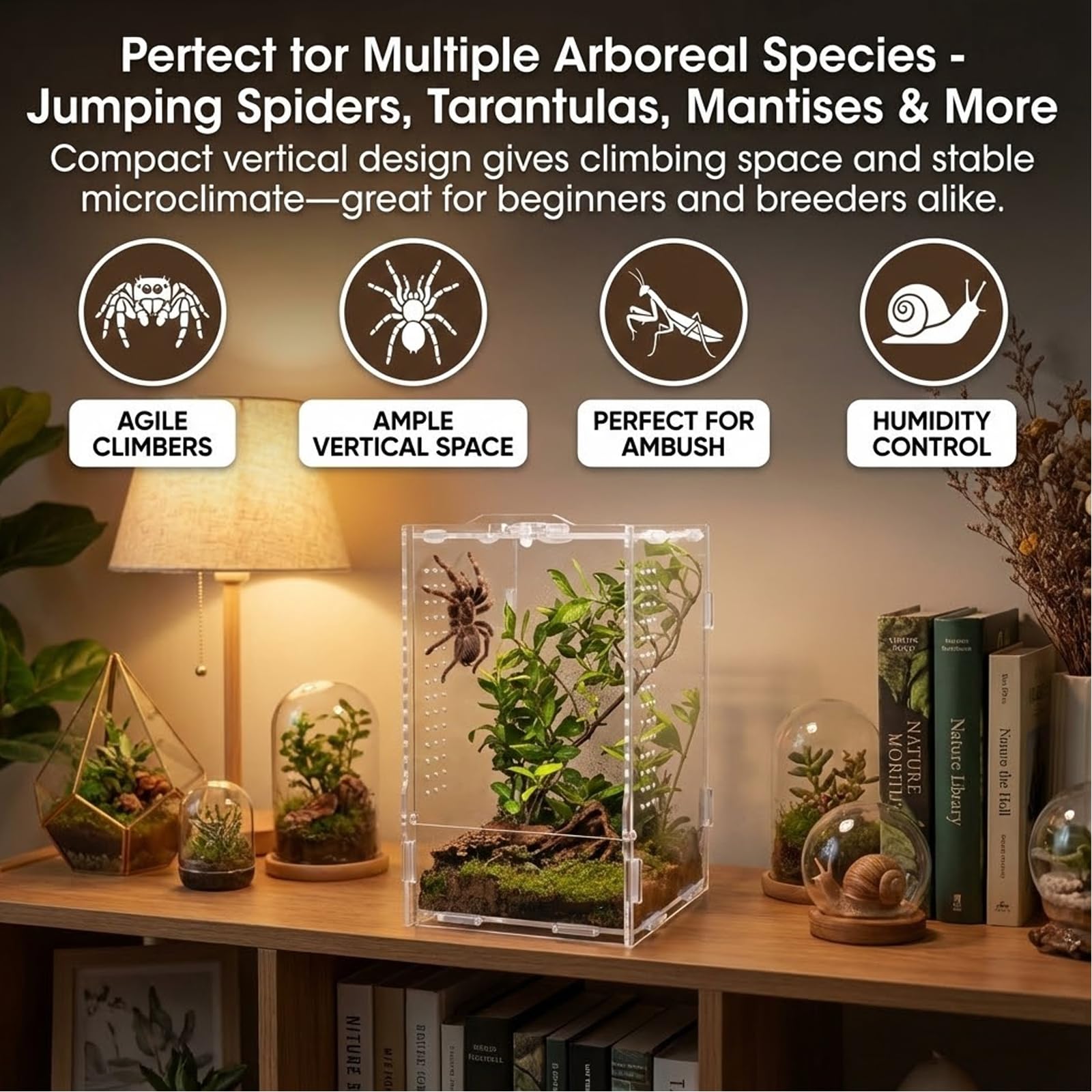 veectgoo comparaison taille à la main illustrant compacité et adaptabilité