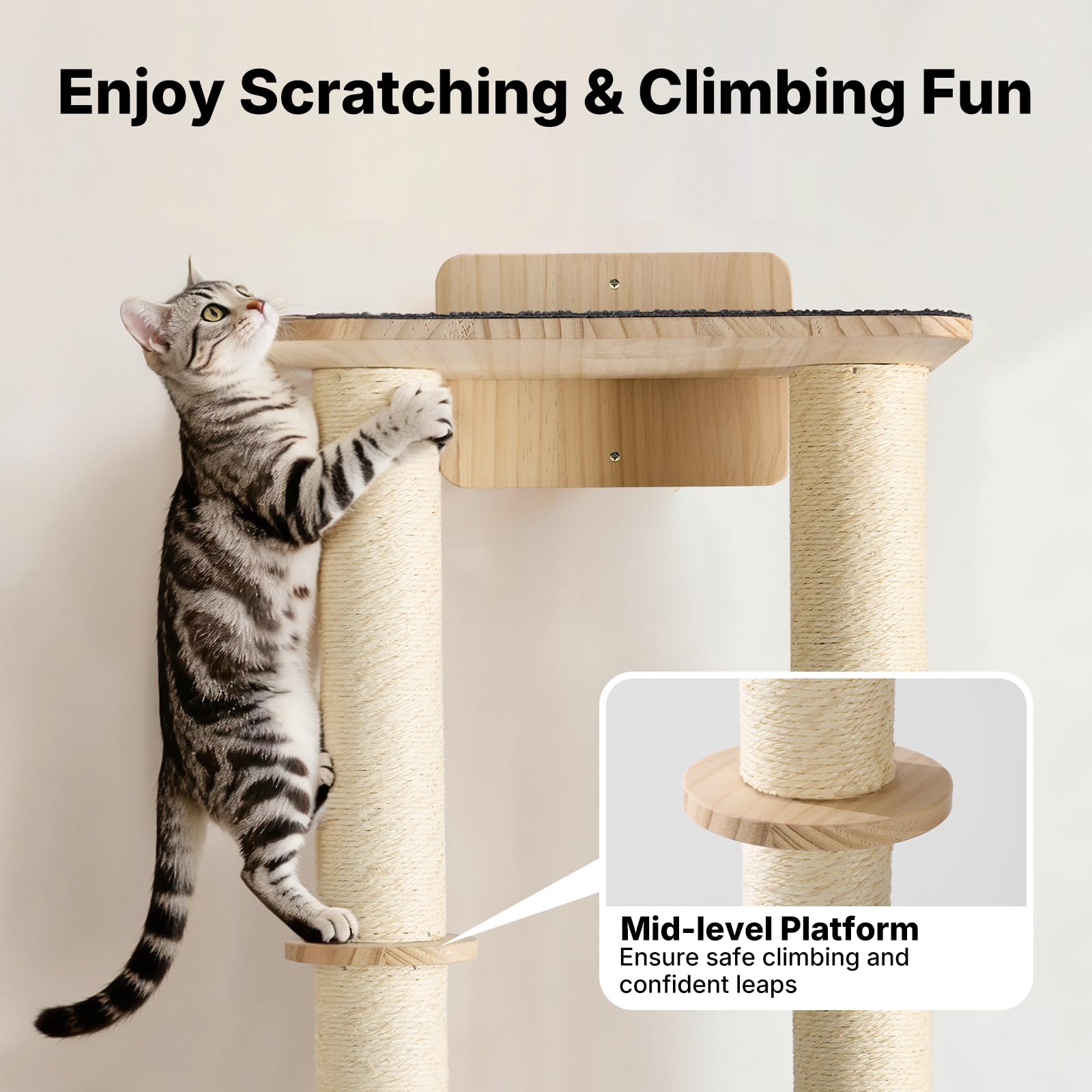 Veehoo chat sur perchoir en action pour grimper et observer