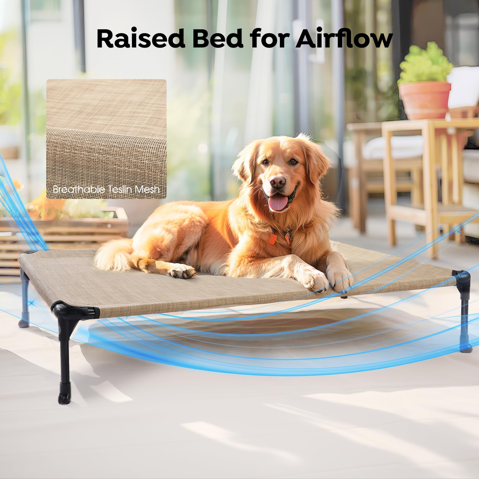 Veehoo lit et chien pour comparaison d'échelle montrant dimensions adaptées à 50 kg