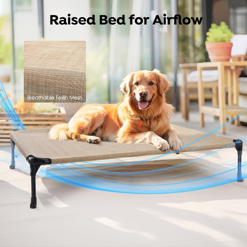 Veehoo lit et chien pour comparaison d'échelle montrant dimensions adaptées à 50 kg