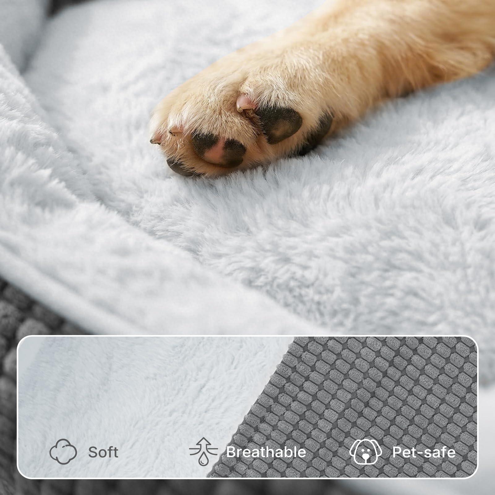 Veehoo comparaison taille chien montrant l'ampleur du lit xlarge