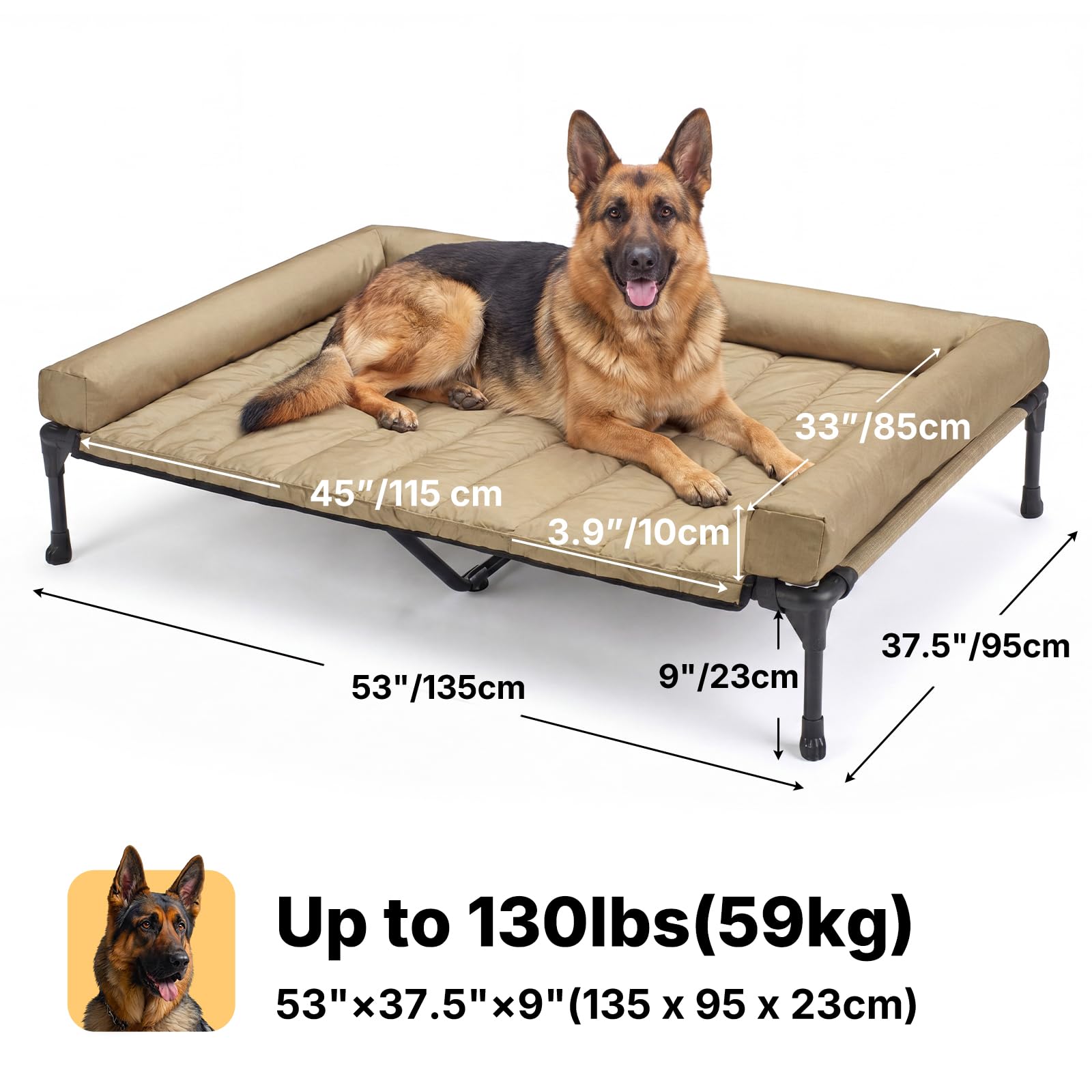 Veehoo comparaison taille avec grand chien pour choix de lit