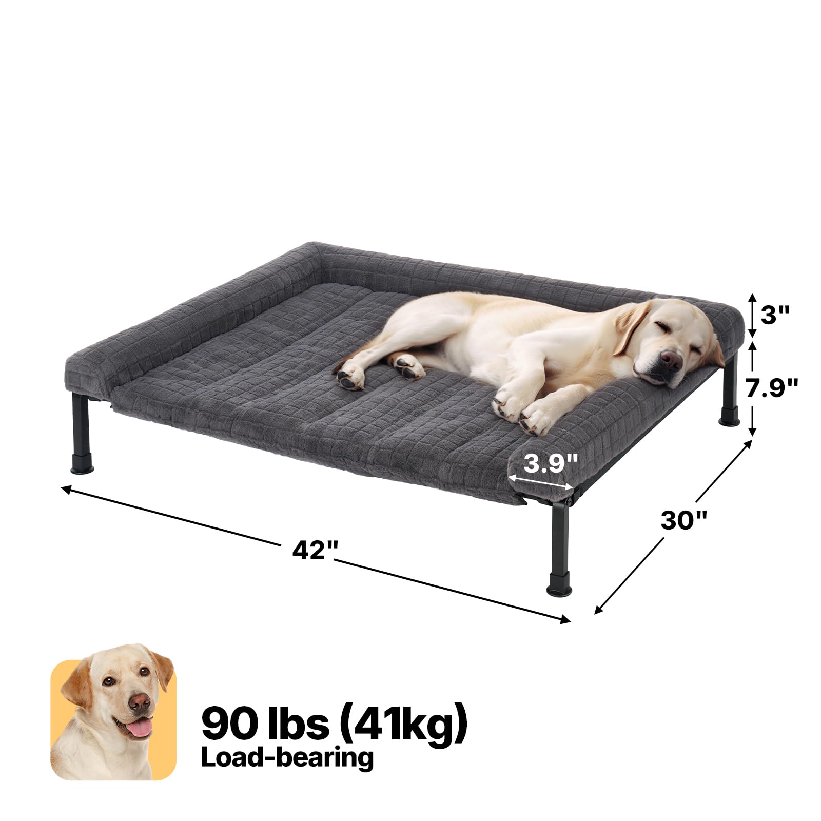 Veehoo comparaison de taille avec grand chien illustrant l'adaptation