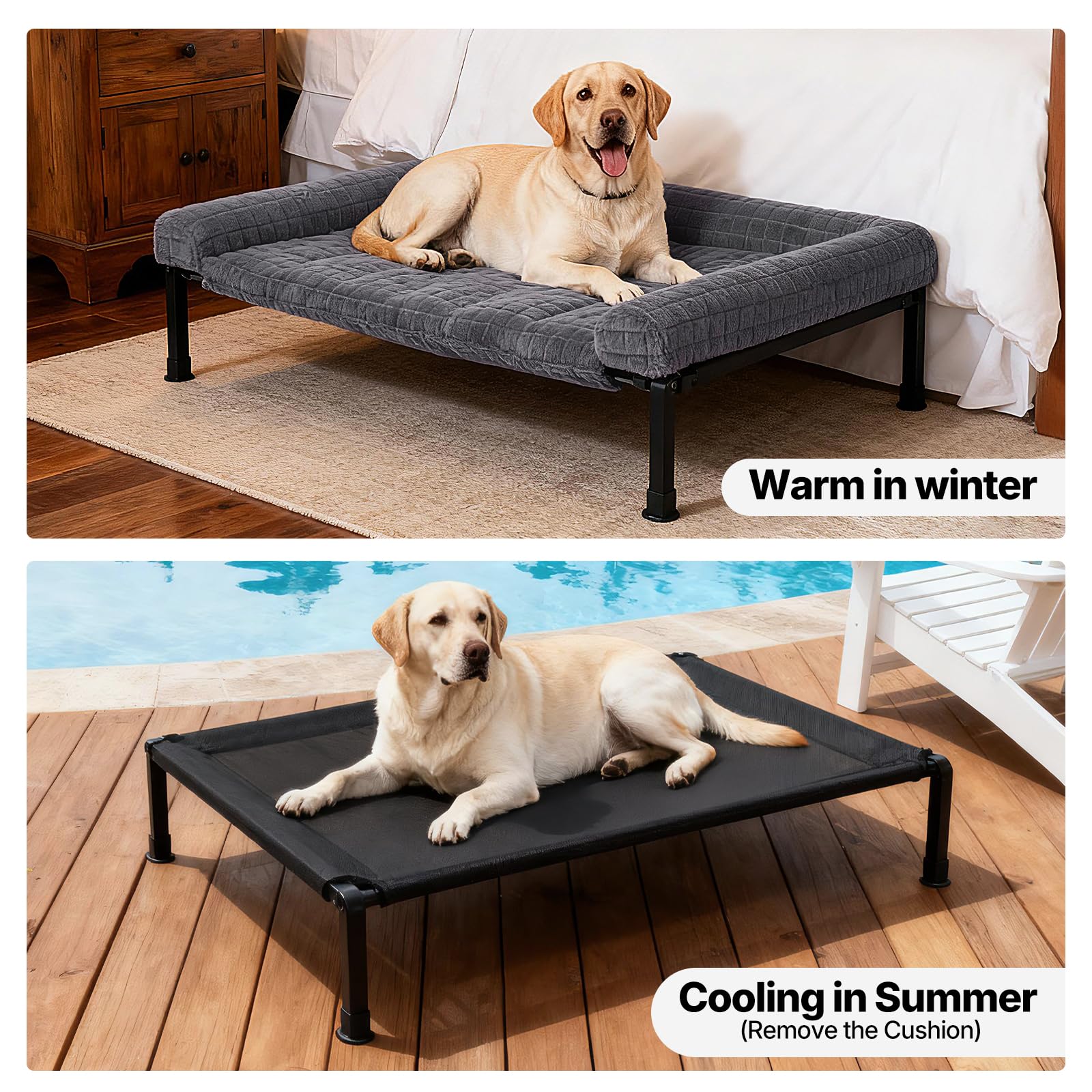 Veehoo lit en usage avec grand chien montrant confort quotidien