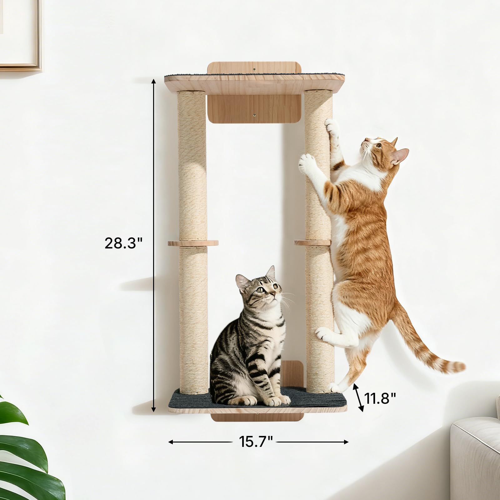 Veehoo mise en scène salon montrant intégration décorative et utilité