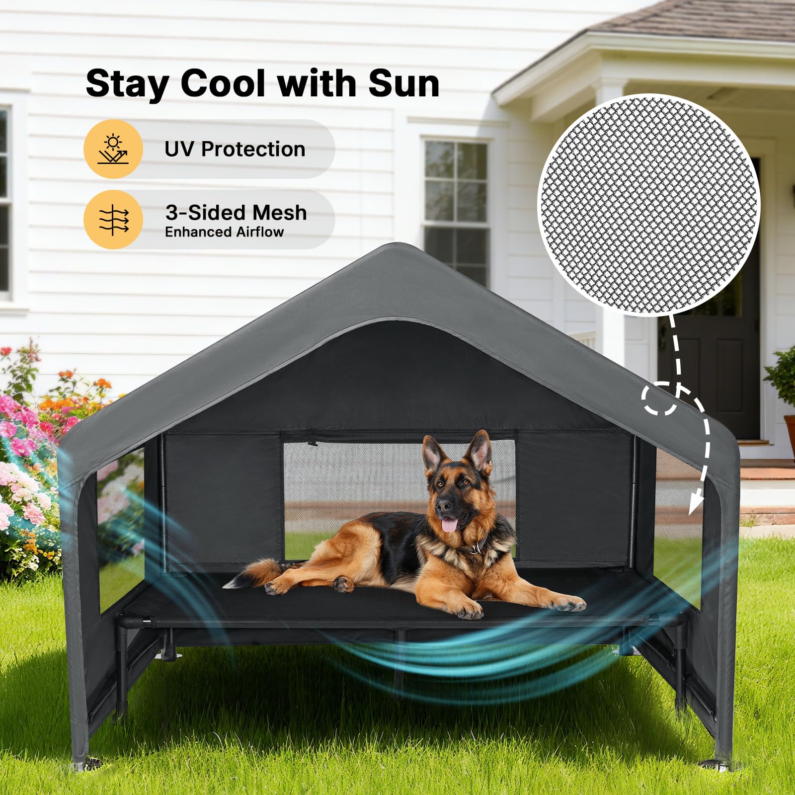 Veehoo niche en usage chien illustrant confort et espace