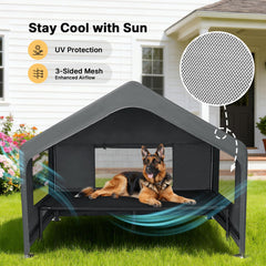 Veehoo niche en usage chien illustrant confort et espace