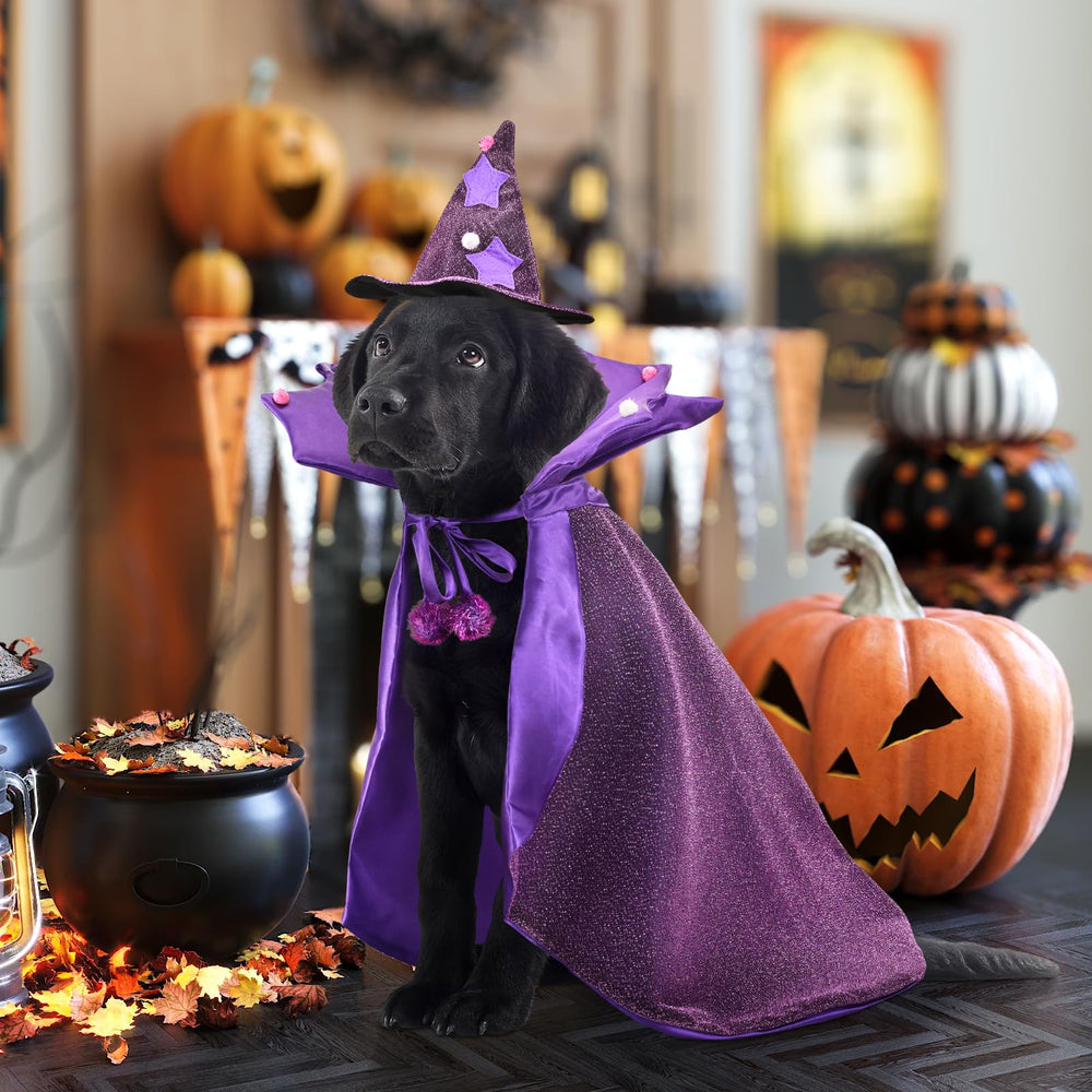 Vehomy chien costume style de vie pour photos festives et confort