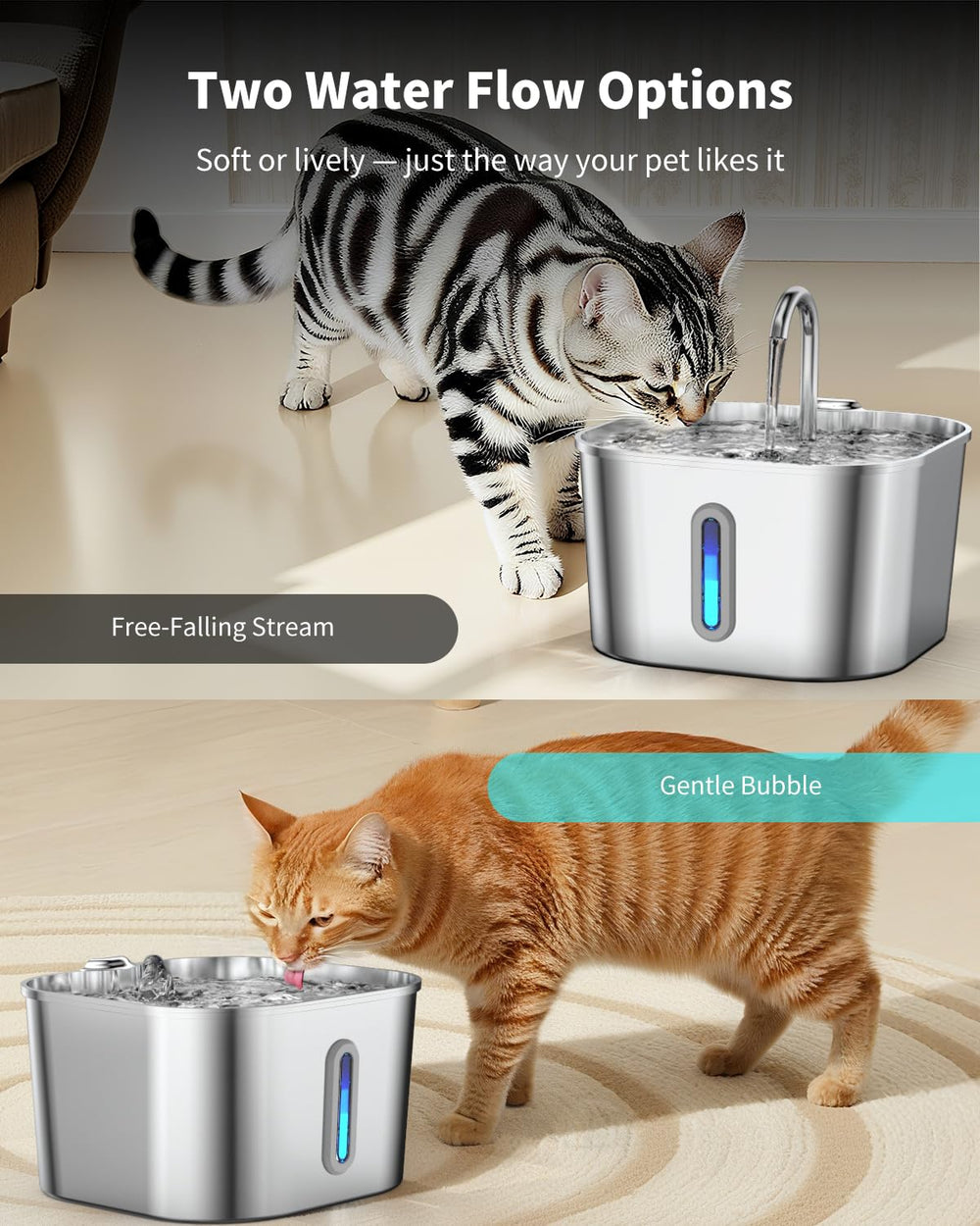 Vekonn utilisation lifestyle chat buvant à la fontaine bénéfice hydratation