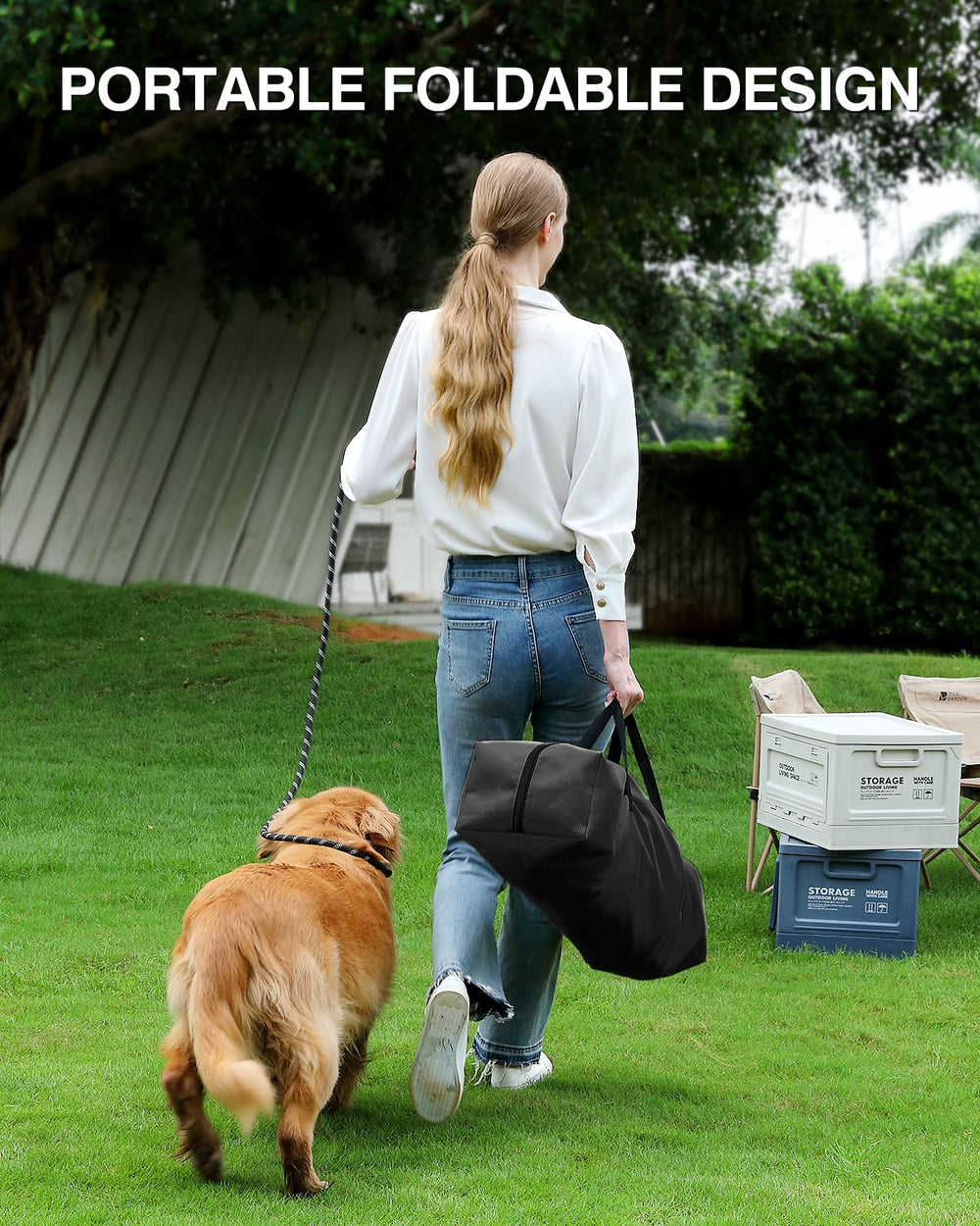 Veraste comparatif taille chien et caisse pour vérifier l'ajustement