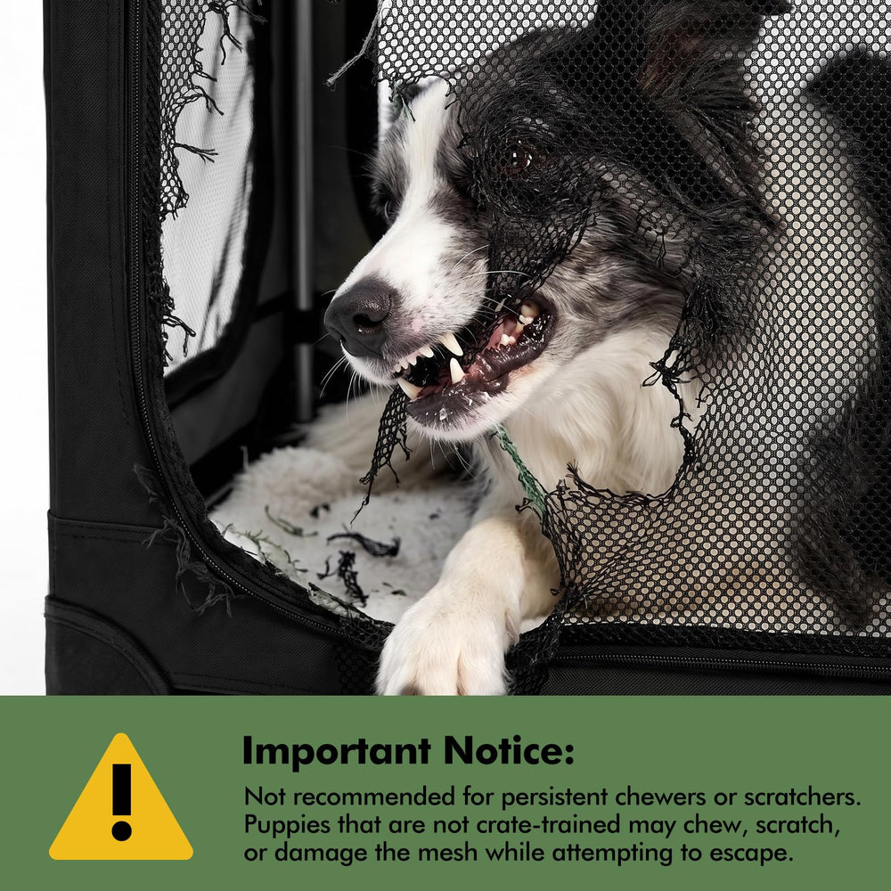 Veraste porte avant ouverte facilitant l'entrée et sortie du chien