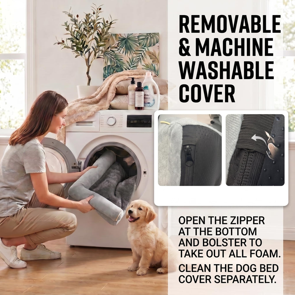 VerdantNap scène de salon chien endormi pour ambiance rassurante