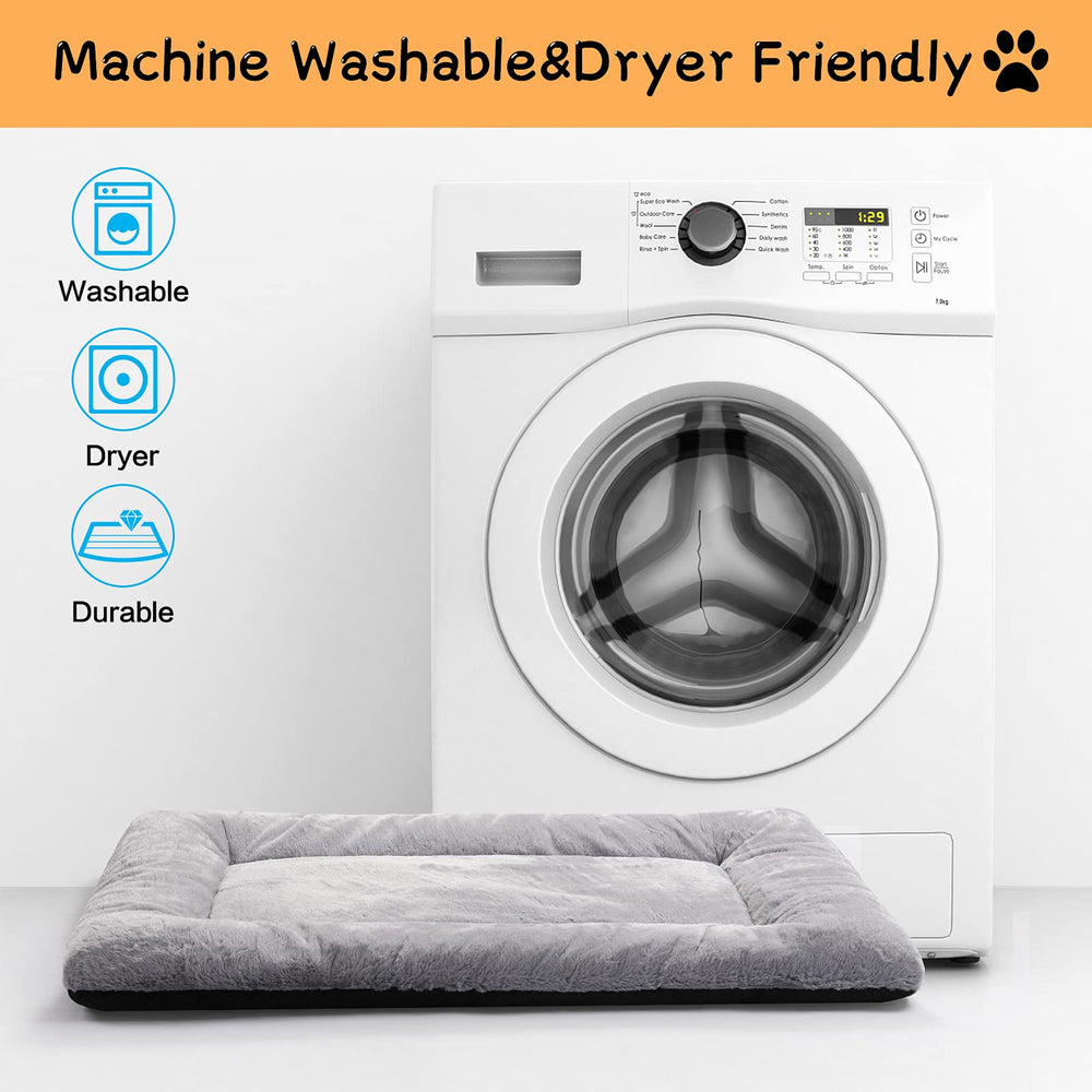 VERZEY coussin à côté d'un chien taille moyenne illustrant échelle réelle