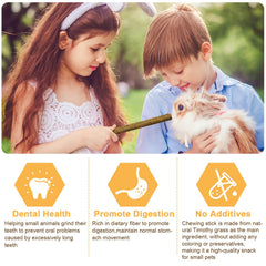 VESPRO bâtonnet en usage par un lapin, encourage mastication saine