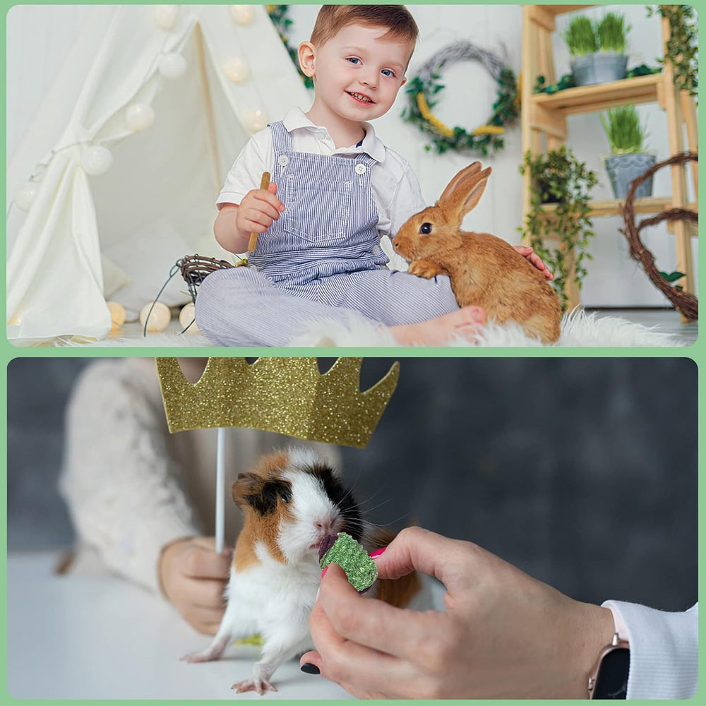 VESPRO mise en scène cage montrant jouets à mâcher stimulant l'activité