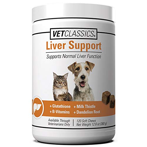 Vet Classics comprimé donné à un chien montrant acceptation et compliance