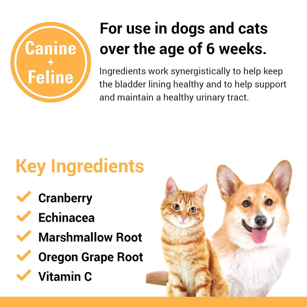 Vet Classics comprimé donné à un chien et chat comme friandise pratique