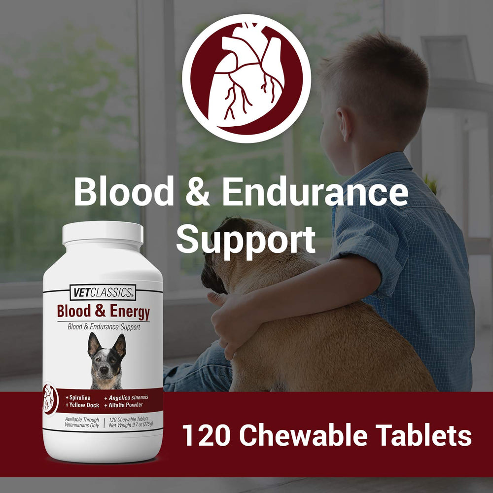 Vet Classics comprimé masticable gros plan, texture appétente et bénéfice énergie