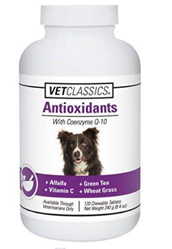 Vet Classics comprimé dans la main illustrant portion facile à donner au chien