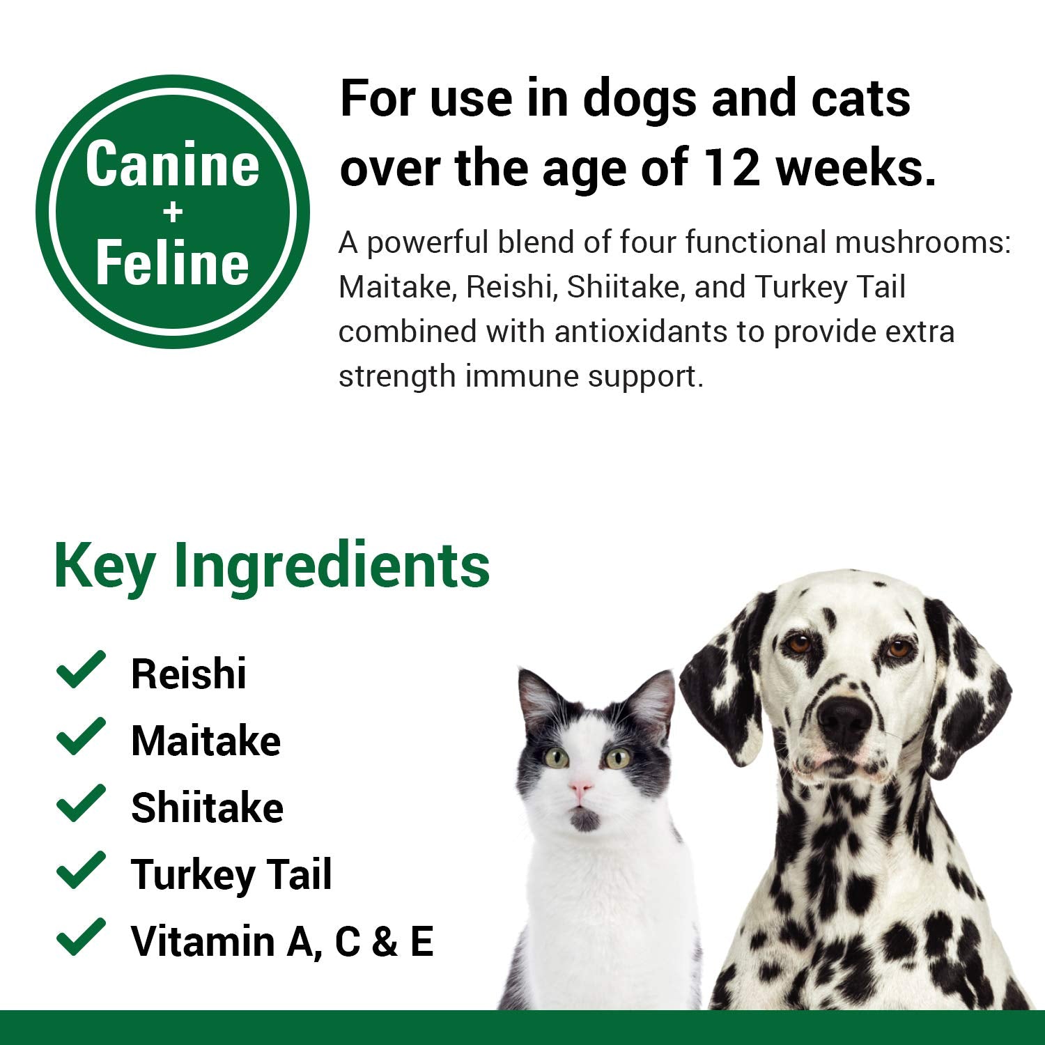 Vet Classics - chien actif dans le jardin après supplémentation pour vitalité renforcée
