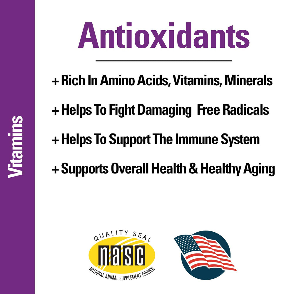 Vet Classics étiquette ingrédients indiquant coenzyme Q‑10 et vitamines pour clarté
