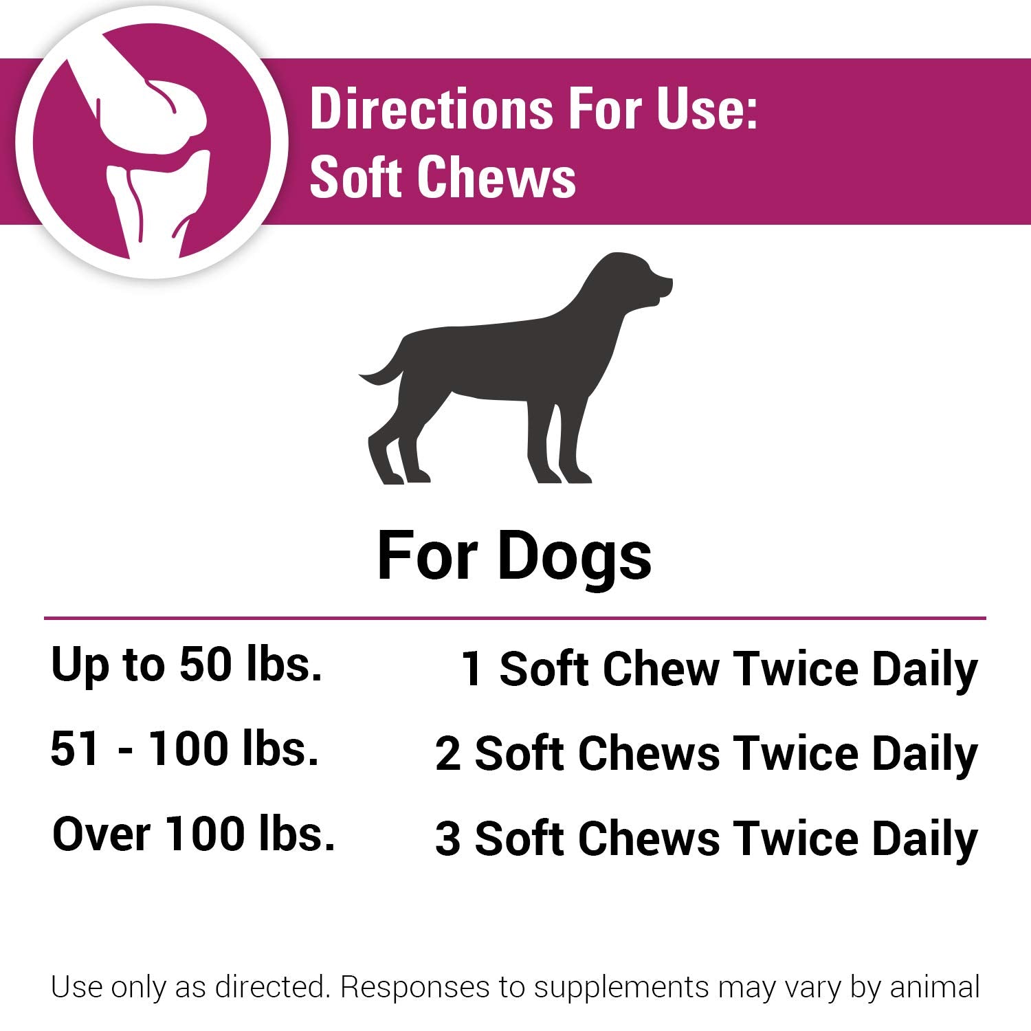 Vet Classics produit en situation avec chien actif illustrant soutien à l'activité