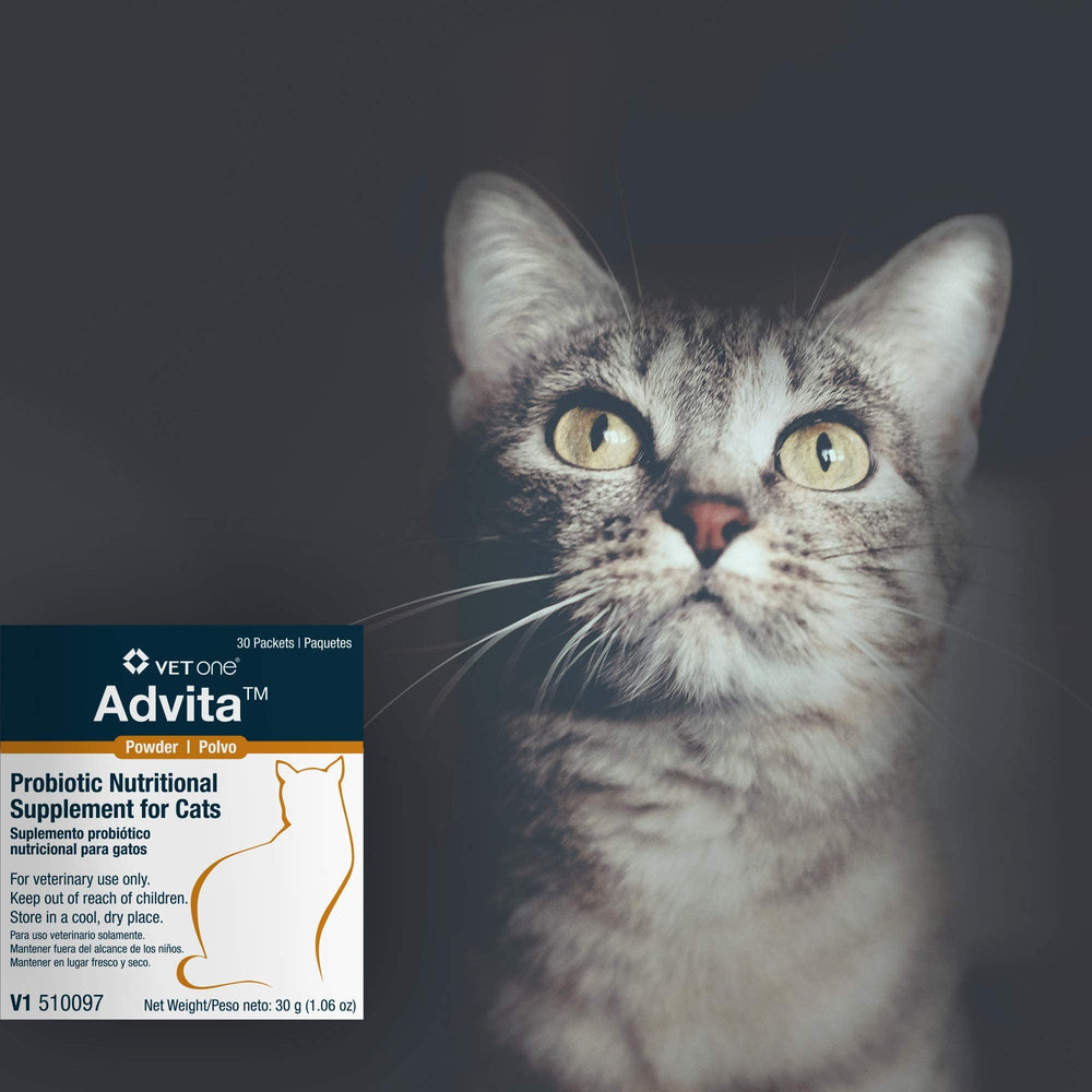 Vet One Advita poudre gros plan montrant texture fine et encapsulation