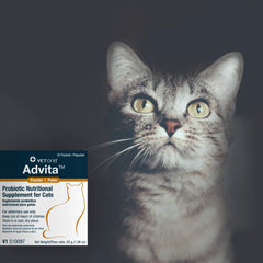 Vet One Advita poudre gros plan montrant texture fine et encapsulation