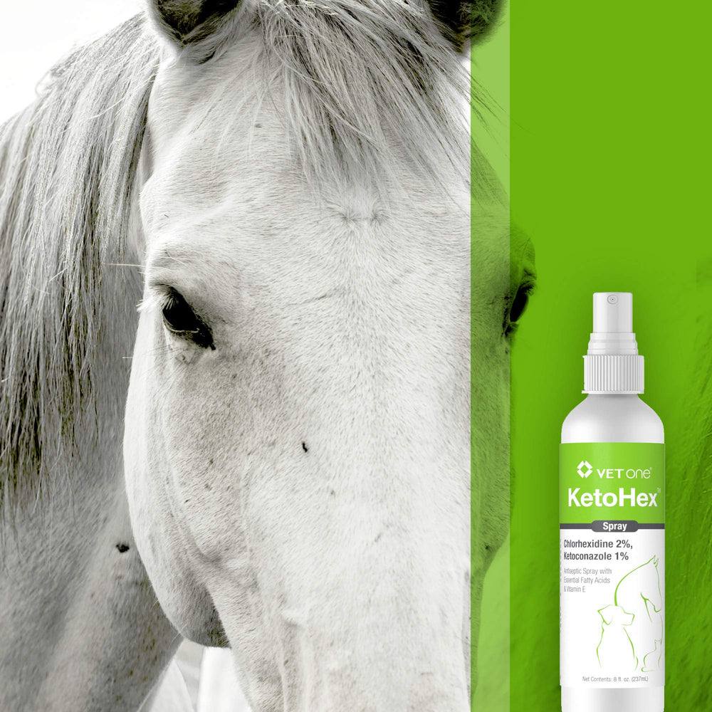 Vet One comparaison taille montrant choix adapté selon animal