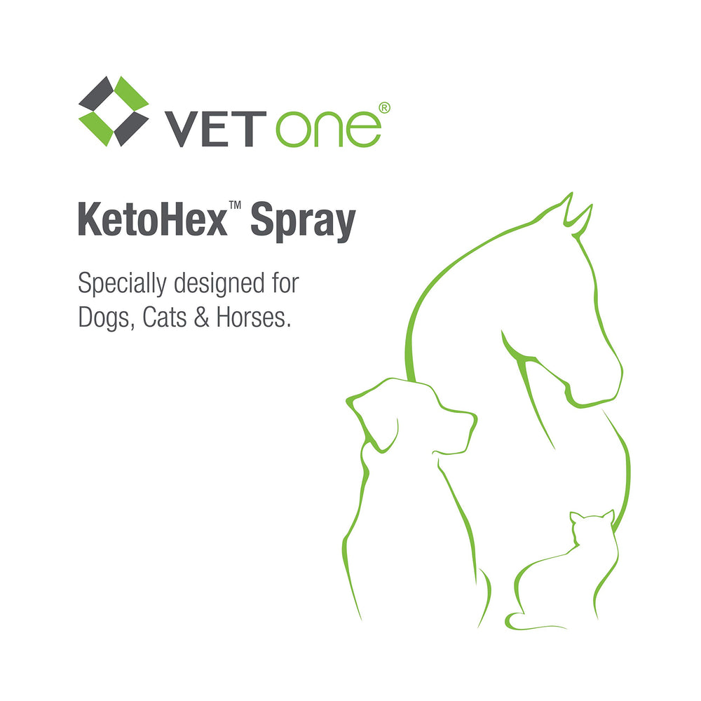 Vet One contenu du kit affichant composants utiles pour soins rapides