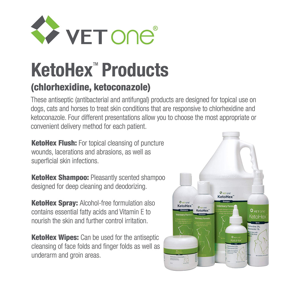 Vet One mise en scène domestique présentant confort et intégration aisée