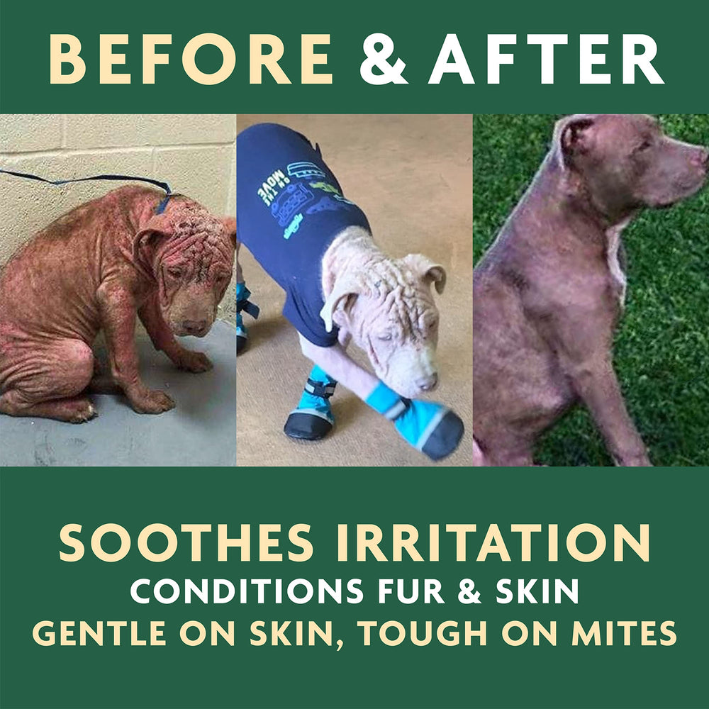 Vet Organics EcoMange appliqué sur un chien apportant confort rapide