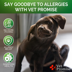 Vet Promise chien acceptant la croquette, montre facilité d'administration