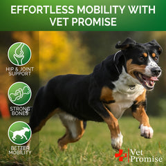 Vet Promise comprimés à côté d'une règle pour comparaison de taille pratique