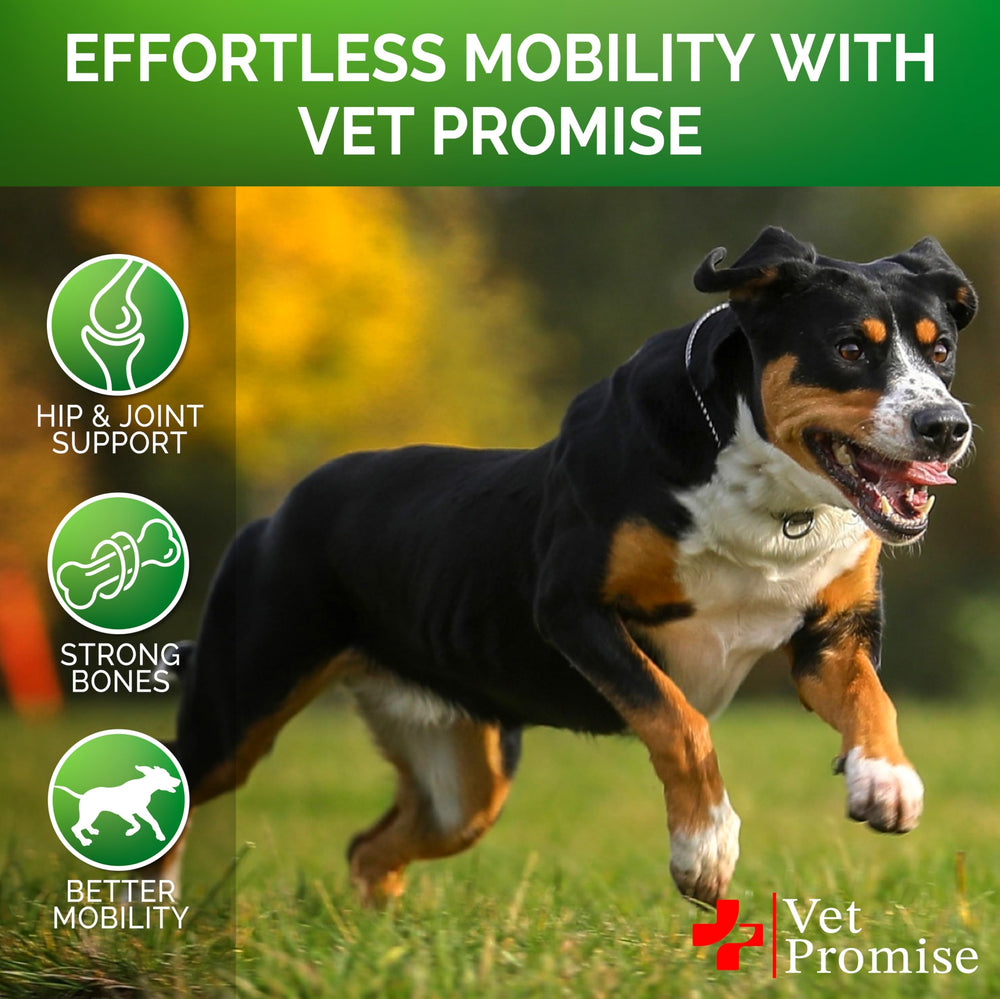 Vet Promise comparaison taille friandise pour évaluer portions