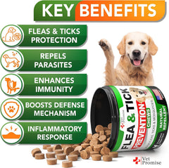Vet Promise gros plan du comprimé mastiquable illustrant la texture et appétence pour chiens
