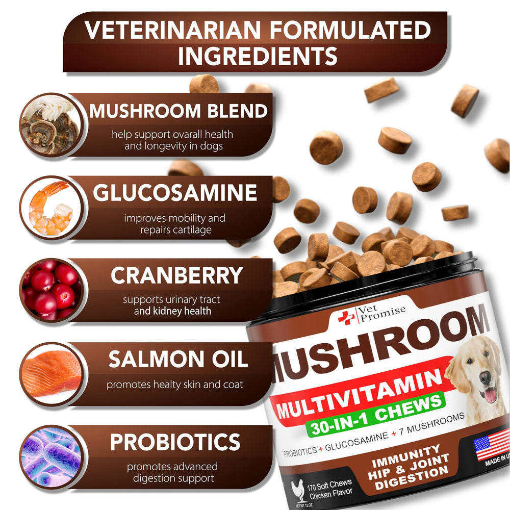 Vet Promise gros plan texture du mastiquable, appétence et mâchabilité optimales