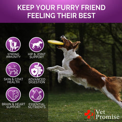 Vet Promise chien mâchant le complément, soutien joints et pelage