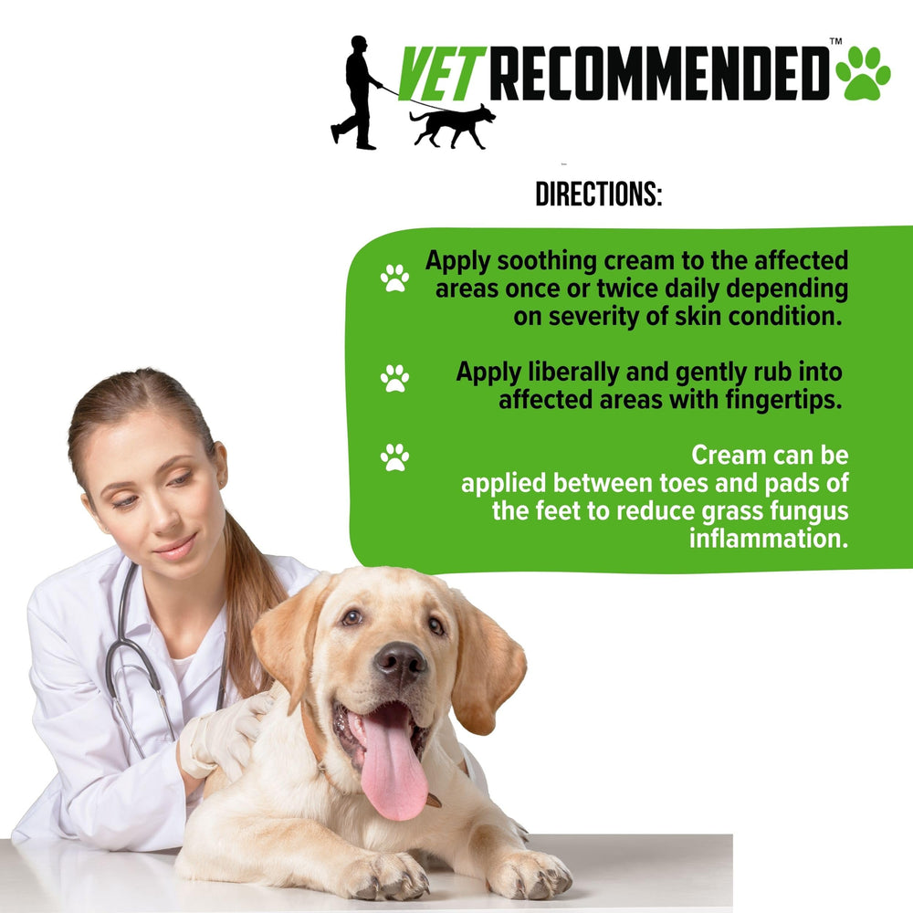 Vet Recommended comparaison coussinet avant-après pour confort retrouvé