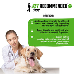 Vet Recommended comparaison coussinet avant-après pour confort retrouvé