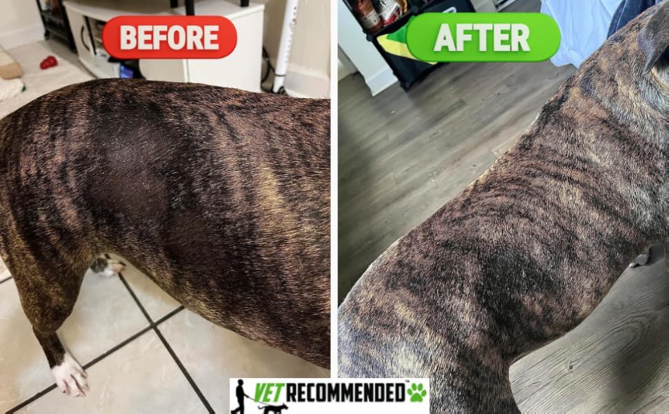Vet Recommended emballage écologique en détail, engagement faible impact