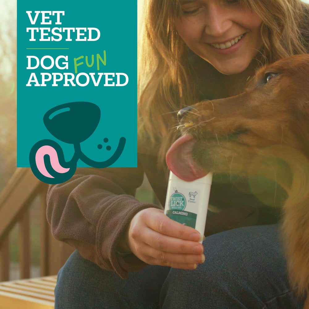 Chien léchant Vetality montrant acceptation gustative et apaisement potentiel